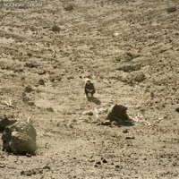 Ben Howard - what a day (edit)