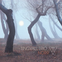 Tingvall Trio - beat