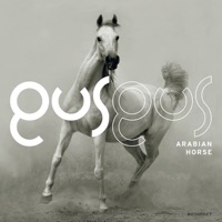 GusGus - dance you down