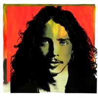 Chris Cornell - part of me