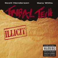 Tribal Tech - funkin hell (d ramirez rmx)