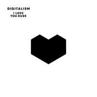 Digitalism - idealistic (voyage mix)