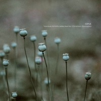 Miktek - dear universe