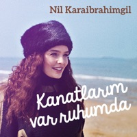Nil Karaibrahimgil - bu mudur (akustik)