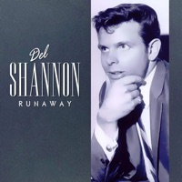Del Shannon - keep searchin' (we'll follow the sun)