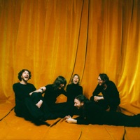 Blossoms - i like your look