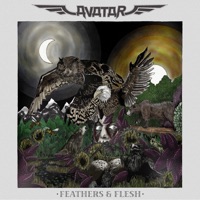 Avatar - bloody angel