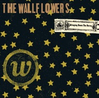 The Wallflowers - wrong end of the spear