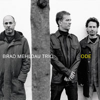 Brad Mehldau Trio - i concentrate on you