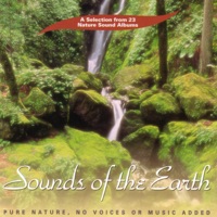 Sounds Of The Earth - райский остров