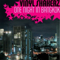 Vinylshakerz - one night in bangkok (vinylshakerz screen cut)