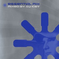 DJ Icey - city of groove