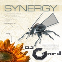 Synergy - stinger