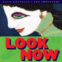 Elvis Costello - watching the detectives (single version)