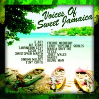 Barrington Levy - nothing's changed