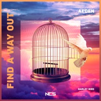 Aeden - holding on