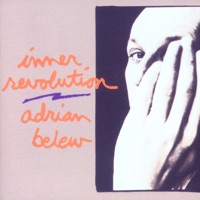 Adrian Belew - never enough