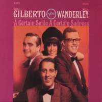 Walter Wanderley - cried,cried