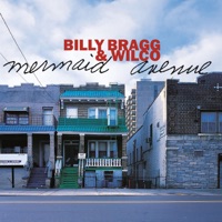 Billy Bragg - greetings to the new brunette