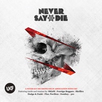 Freestylers - push up (plump djs remix)