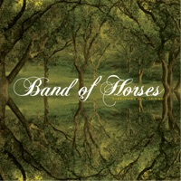 Band of Horses - the funeral (domenico rondinelli rmx)
