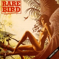 Rare Bird - what you want to know