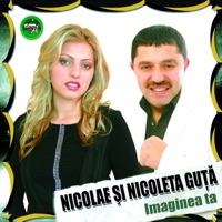Nicolae Guta - cum te-a lasat inima