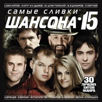 Владимир Ждамиров - за забором весна