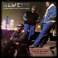 Nemesis - karyon