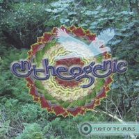 Entheogenic - multiverse