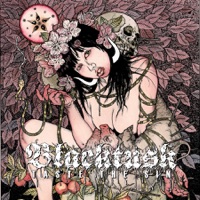 Black Tusk - twist the knife