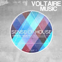 Thierry Tomas - blue birds fly