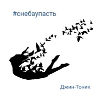 Джин-Тоник - бас-гитарист