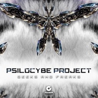 Psilocybe Project - chaos