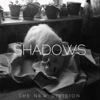 The New Division - romantic