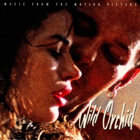 Paradise - the blues(feat. candyman)-original mix