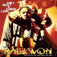 Raekwon - knuckleheadz