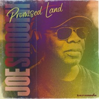 Joe Smooth - promised land (mark knight & james hurr rmx)