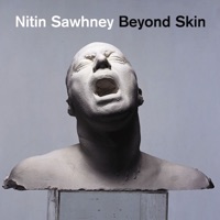 Nitin Sawhney - daydream (feat. ashwin srinivasan)