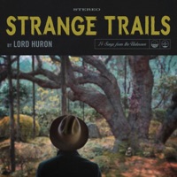 Lord Huron - into the sun (learning music remix)