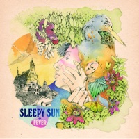 Sleepy Sun - duet with the northern sky