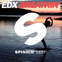 EDX - thrive(edx's fe5tival mix)