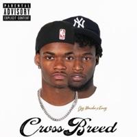Crossbreed - push