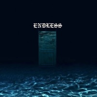 Endless - veins of blood