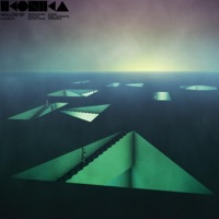Ikonika - idiot