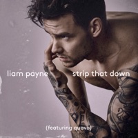 Liam Payne - weekend