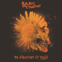 Barns Courtney - the vapor