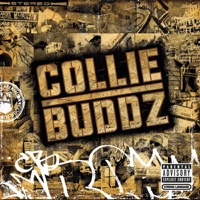 Collie Buddz - let me know
