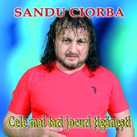 Sandu Ciorba - papu