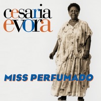 Cesária Évora - sangue de beirona